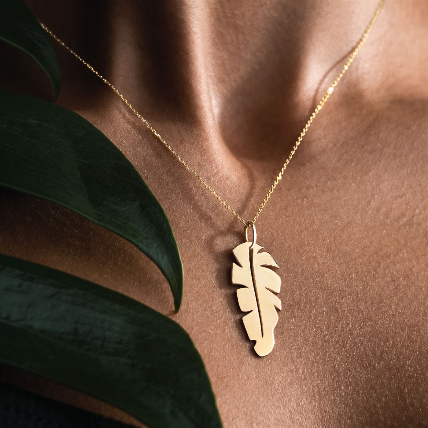 پلاک برگ موز