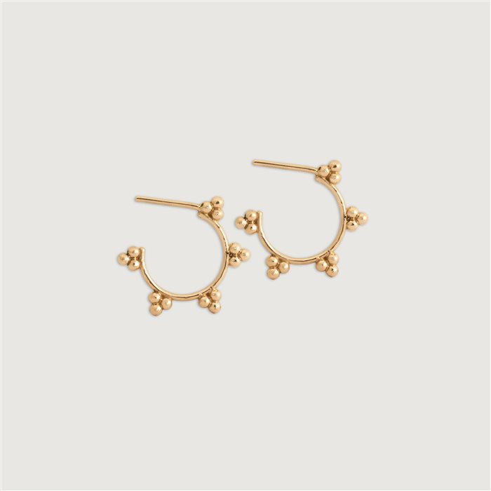 گوشواره روشنا