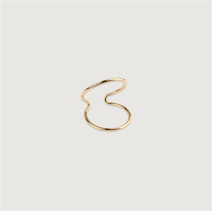 انگشتر ۲ دور