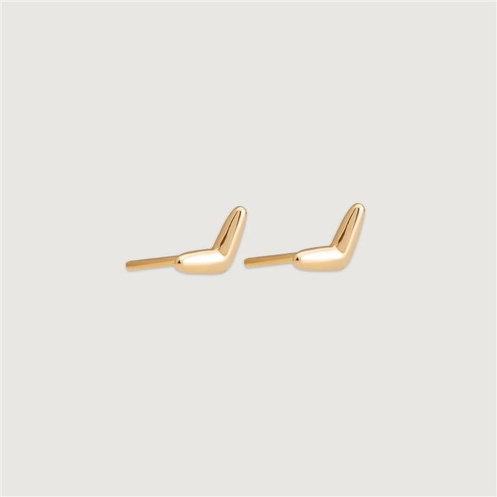 گوشواره بومرنگ